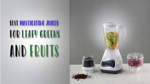 best masticating juicer for leafy greens and fruits.jpg