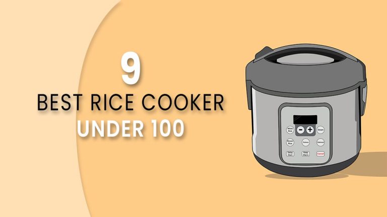 Best rice cooker under 100