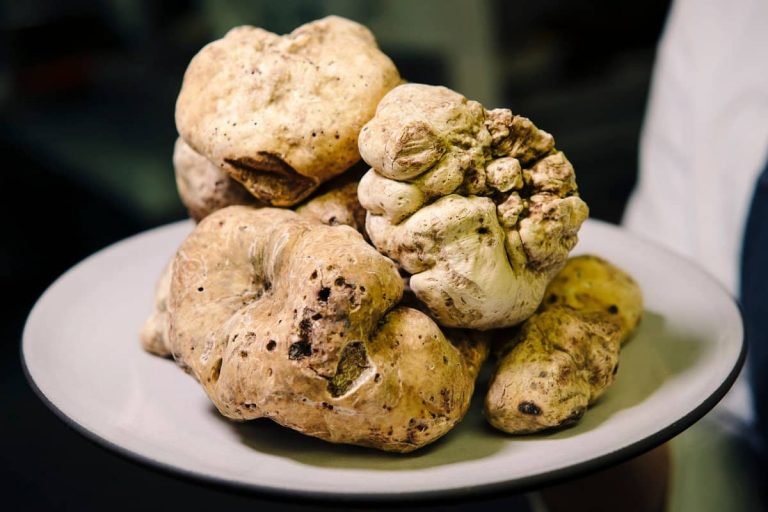 difference between black and white truffle