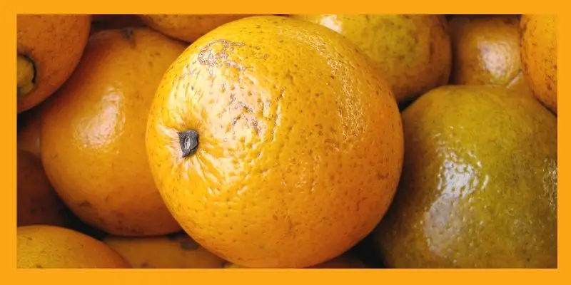 Navel oranges