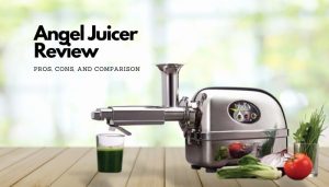 Angel Juicer Review