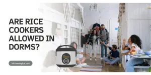 are rice cookers allowed in dorms